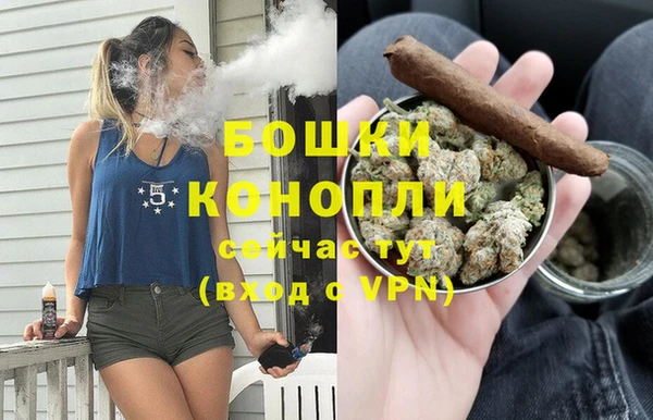 бутират Белокуриха